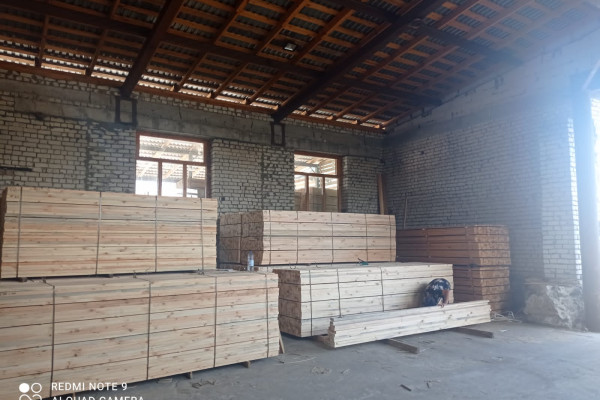 Wood processing plant in the Rivne region for sale